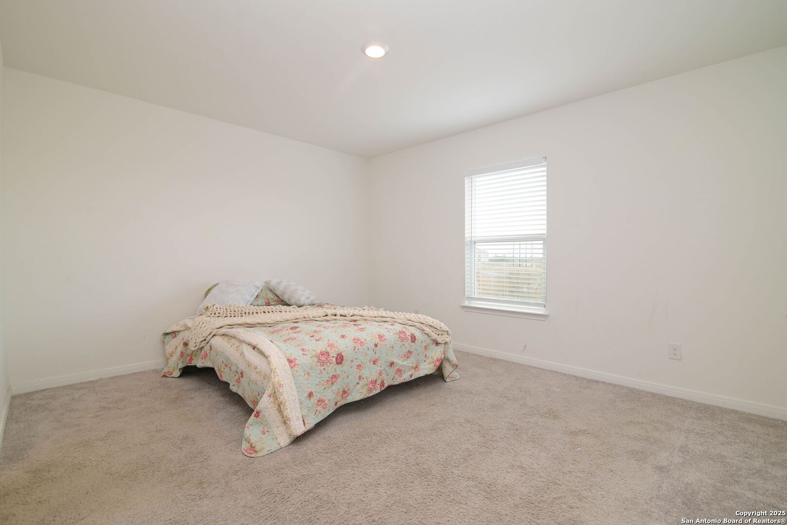 10954 Delight Grove Converse, TX 78109 - Photo 13 of 19