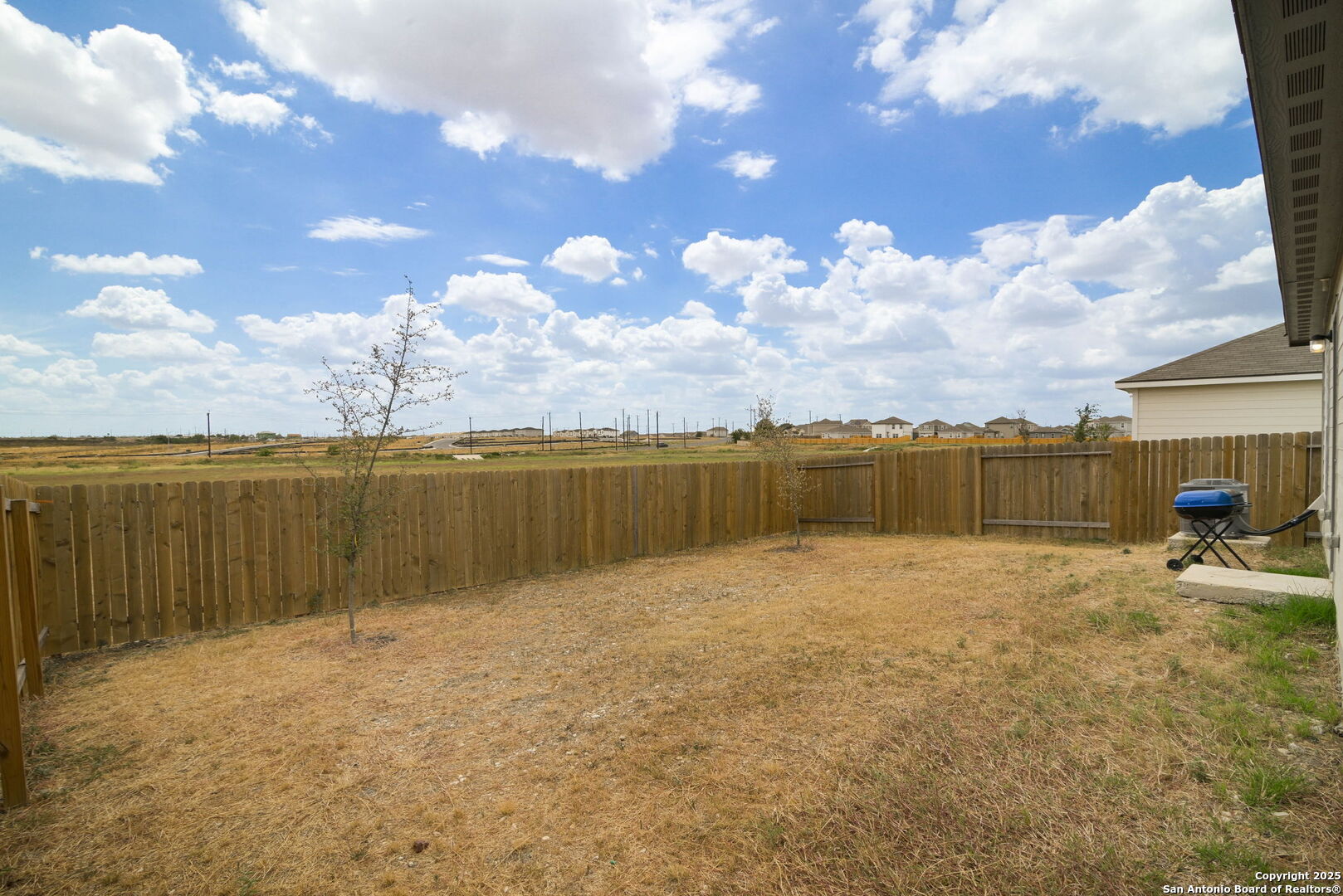 10954 Delight Grove Converse, TX 78109 - Photo 18 of 19