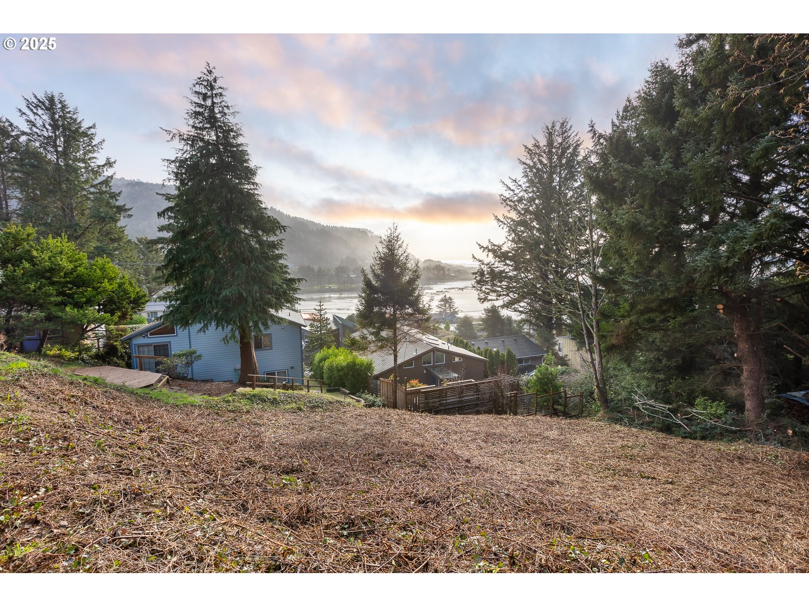 1701 East 3rd Street Yachats, OR 97498 - Photo 3 of 11 a view of a dry yard with trees