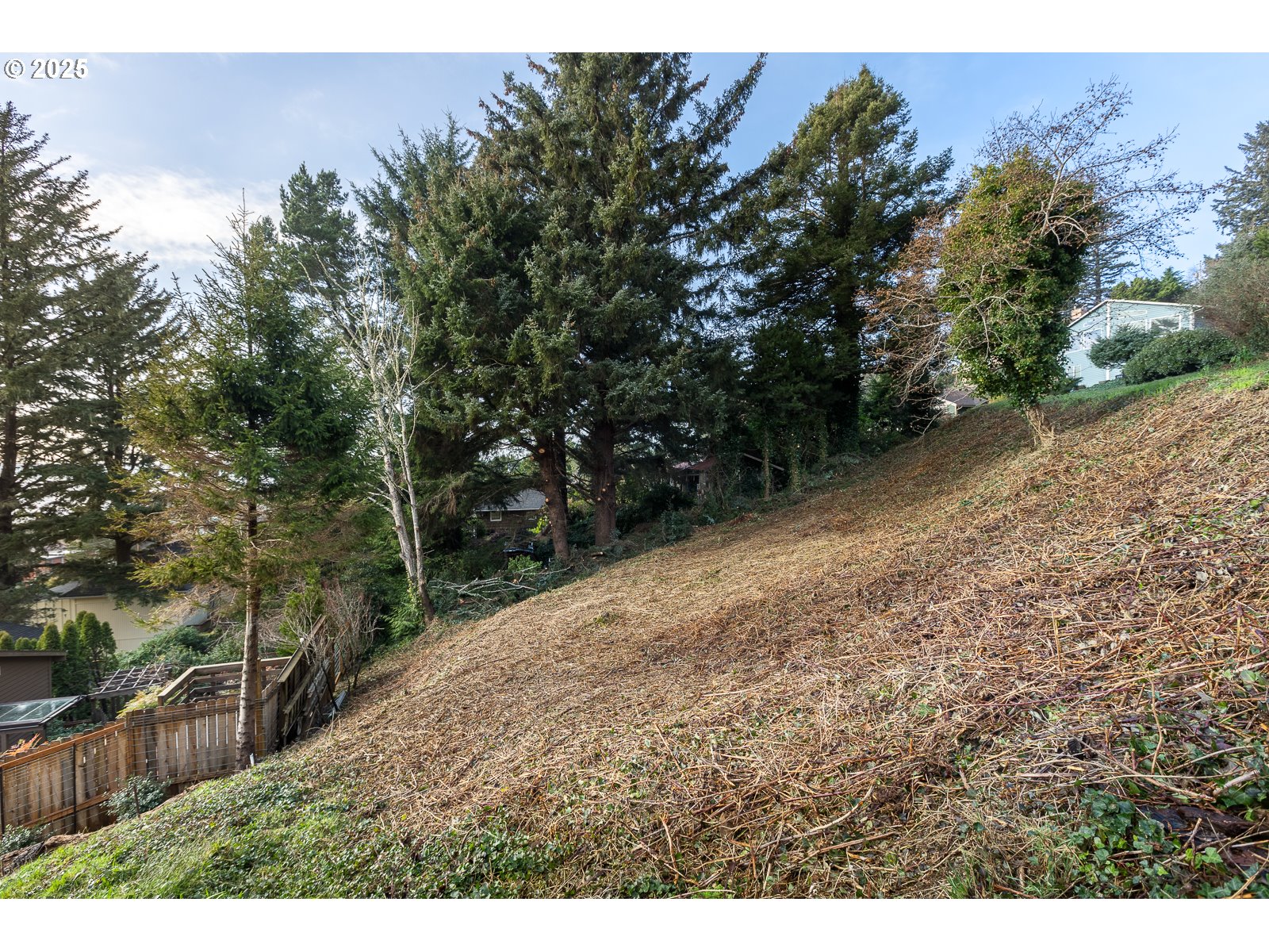1701 East 3rd Street Yachats, OR 97498 - Photo 6 of 11 a view of a backyard of the house