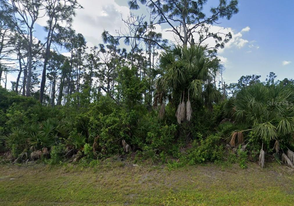 7278 Mineola Road Englewood, FL 34224 - Photo 6 of 6 a view of a lush green forest