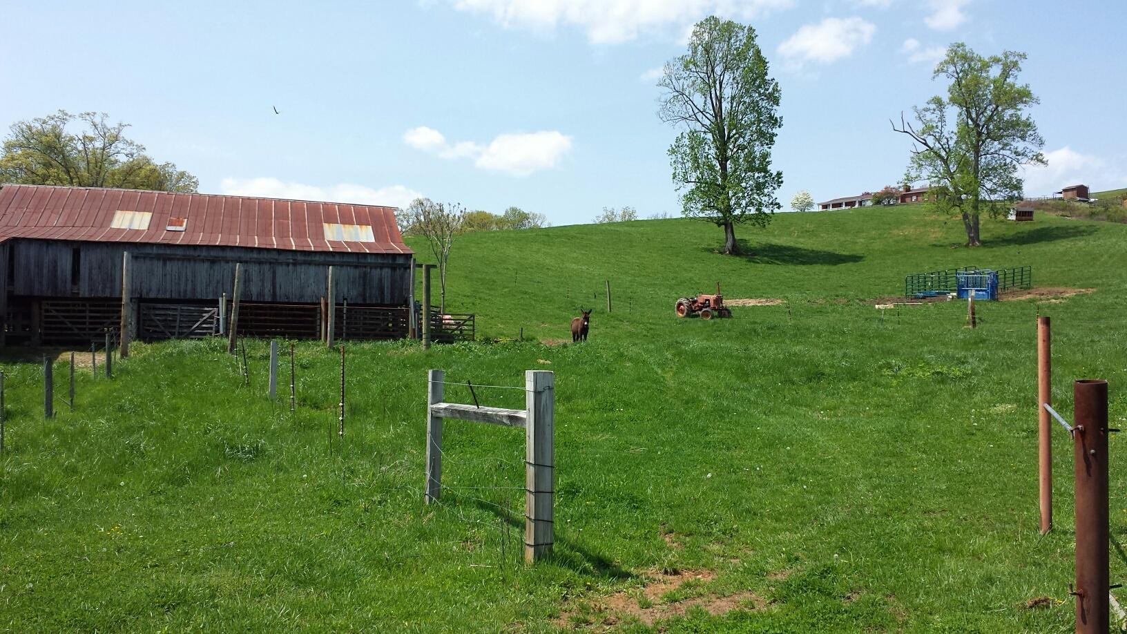 10194 Jeters Chapel Road Vinton, VA 24179 - Photo 24 of 36 20150421_140319_resized