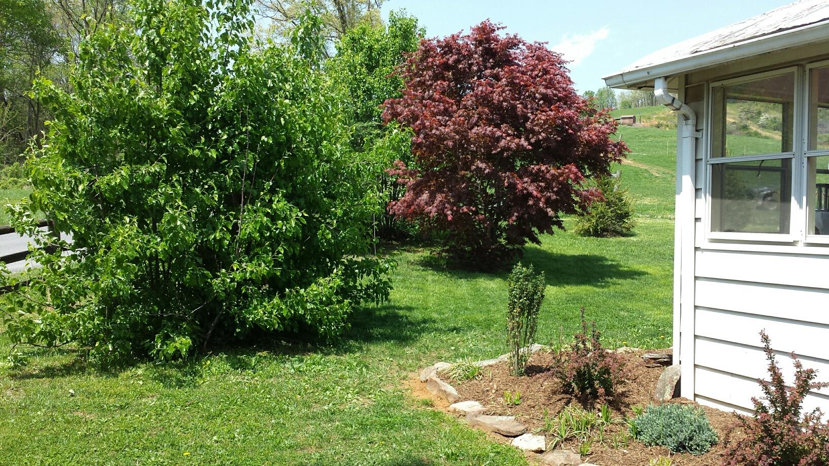 10194 Jeters Chapel Road Vinton, VA 24179 - Photo 31 of 36 20150421_135305_resized