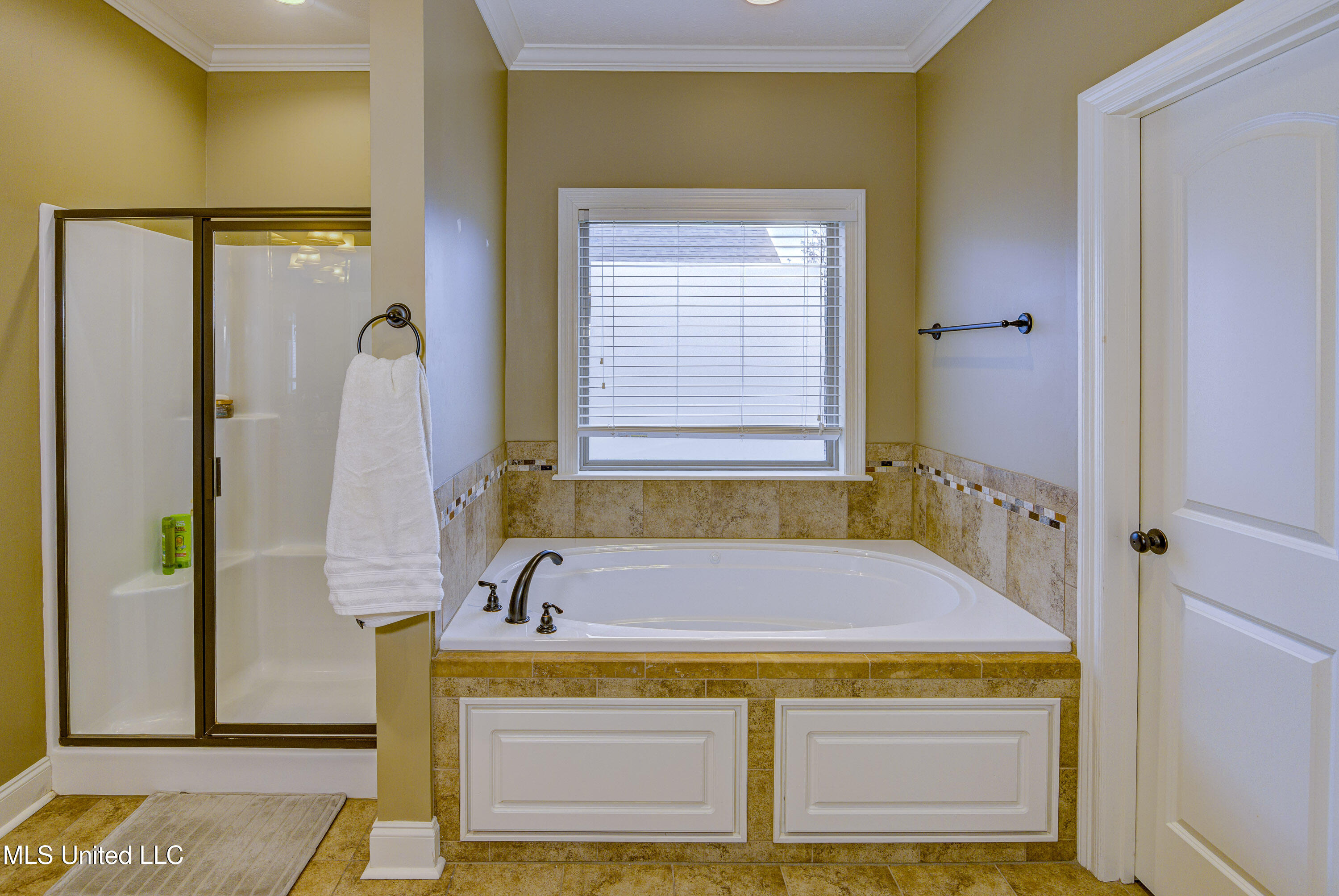 127 Rockbridge Crossing Clinton, MS 39056 - Photo 19 of 55 Primary Bathroom 2