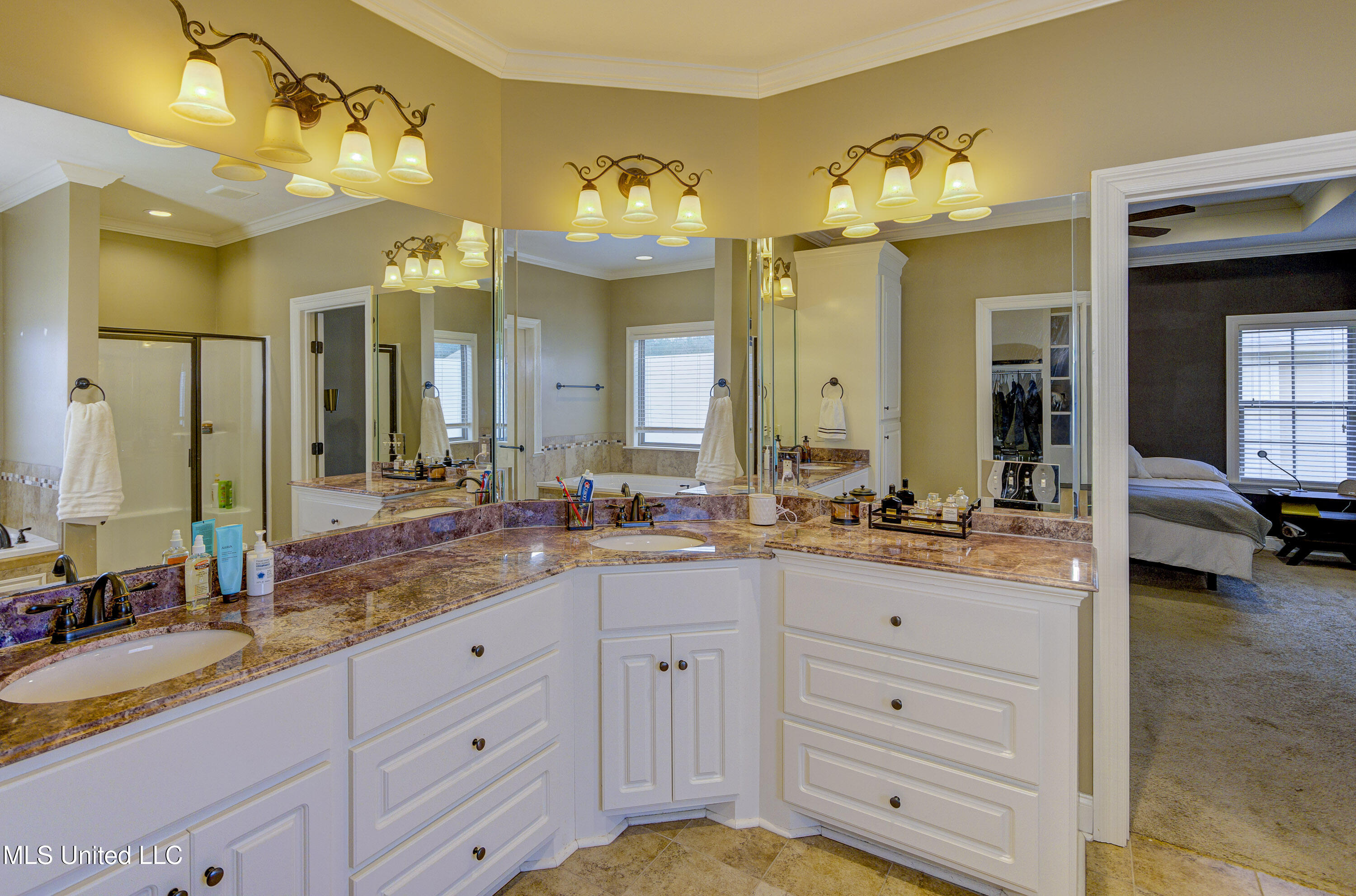 127 Rockbridge Crossing Clinton, MS 39056 - Photo 20 of 55 Primary Bathroom 3