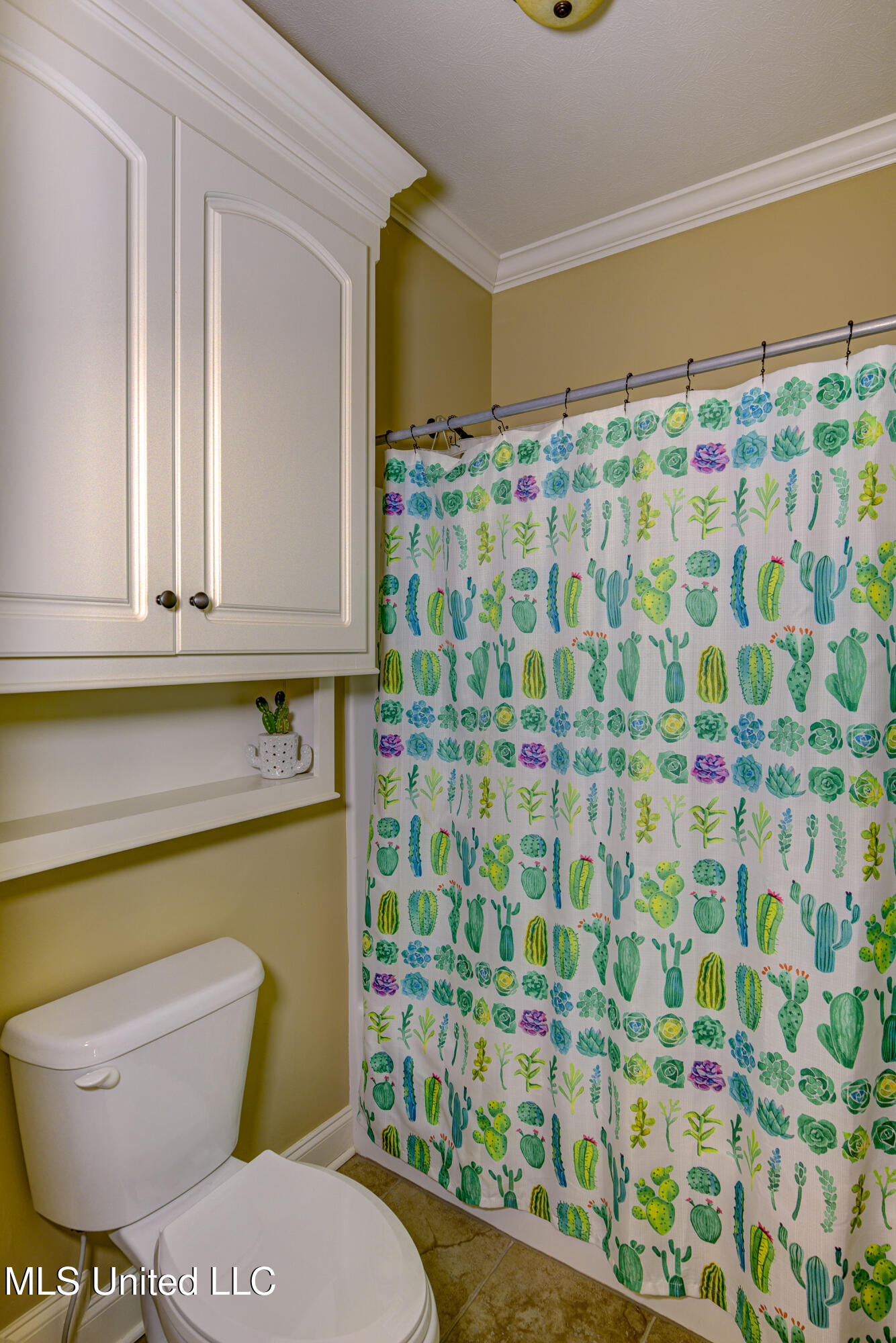 127 Rockbridge Crossing Clinton, MS 39056 - Photo 27 of 55 Shared Bath 3