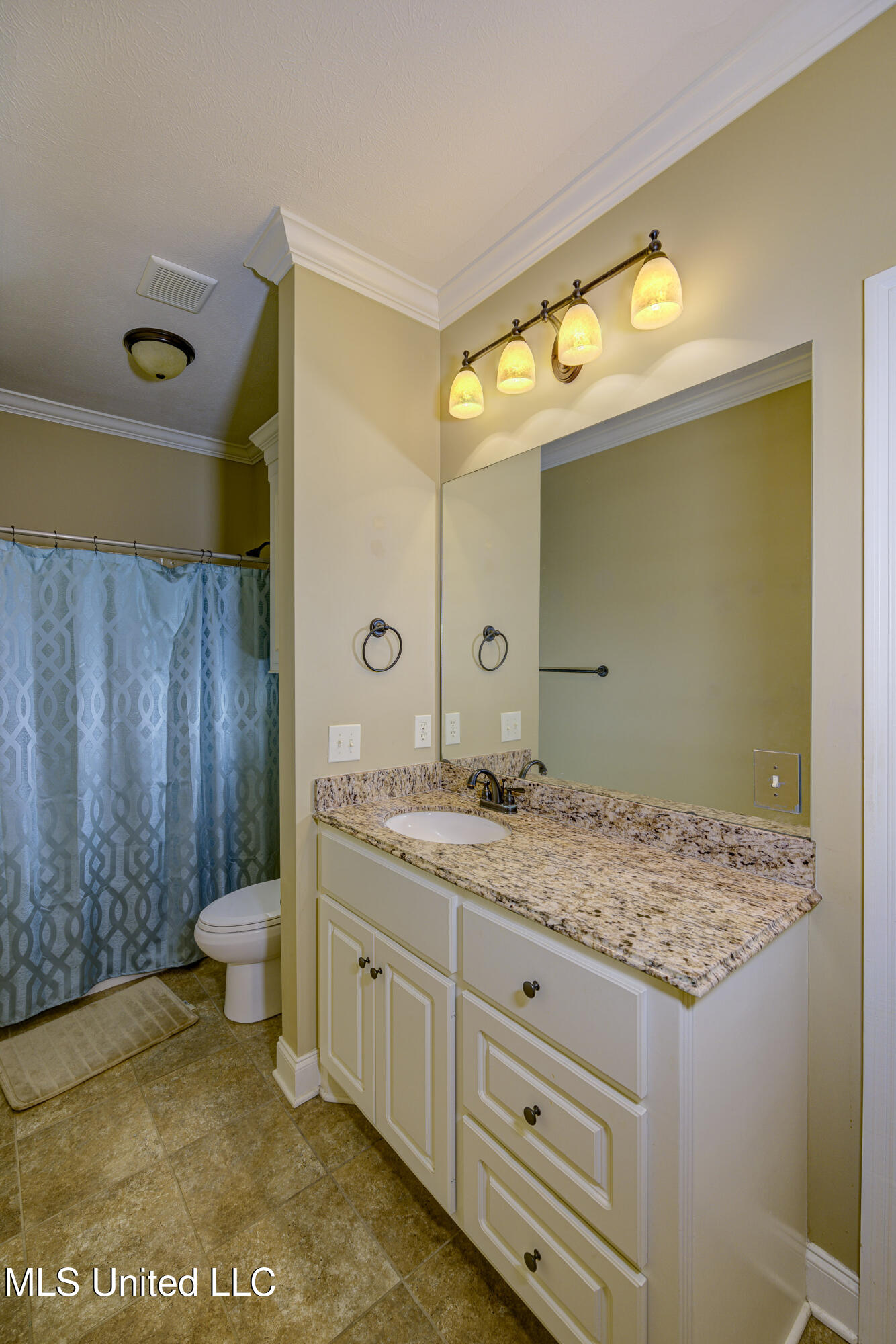 127 Rockbridge Crossing Clinton, MS 39056 - Photo 29 of 55 Shared Third Bath 2