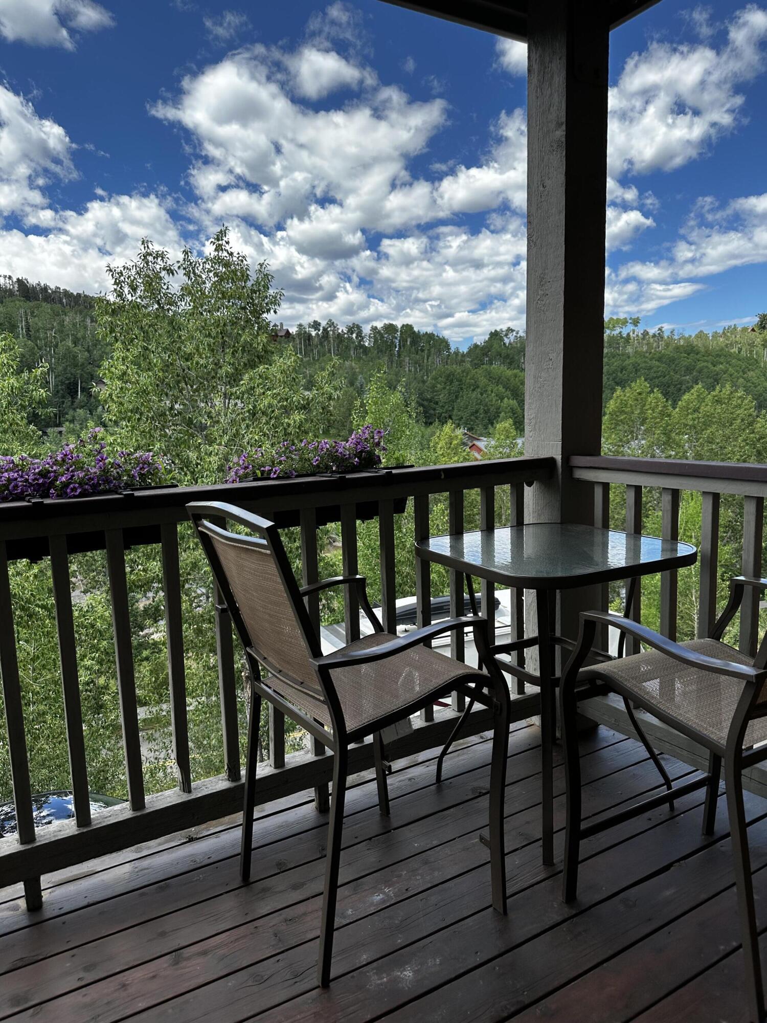 327 Adams Ranch Road, Unit 302 Mountain Village, CO 81435 - Photo 8 of 17 patio IMG_3345