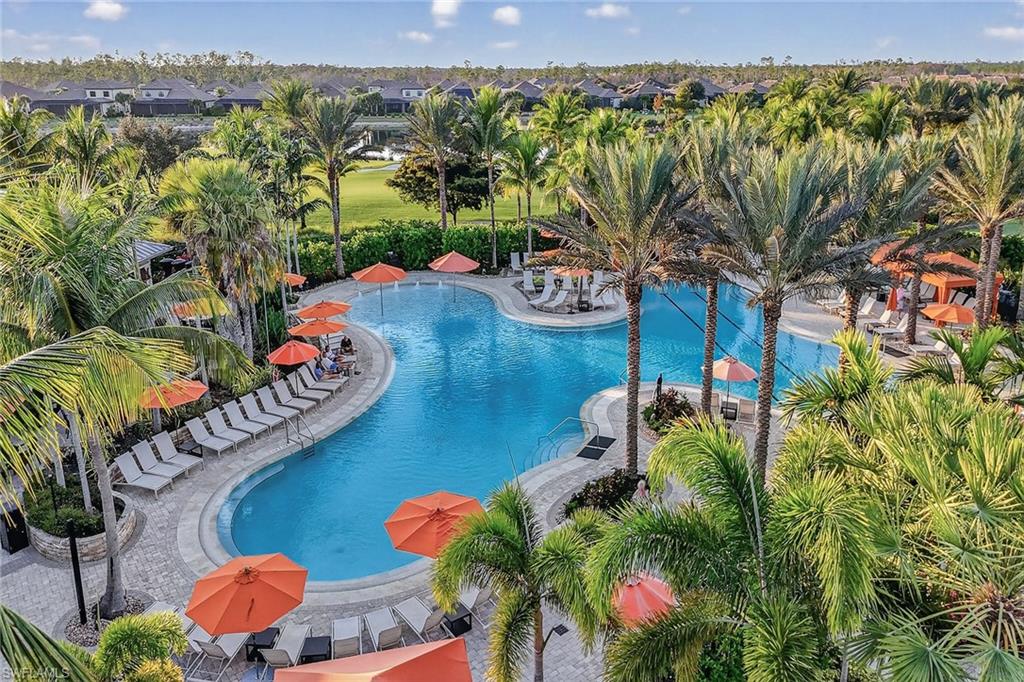 9419 Benvenuto Court, Unit 202 Naples, FL 34119 - Photo 44 of 44 Tropical Community Pool
