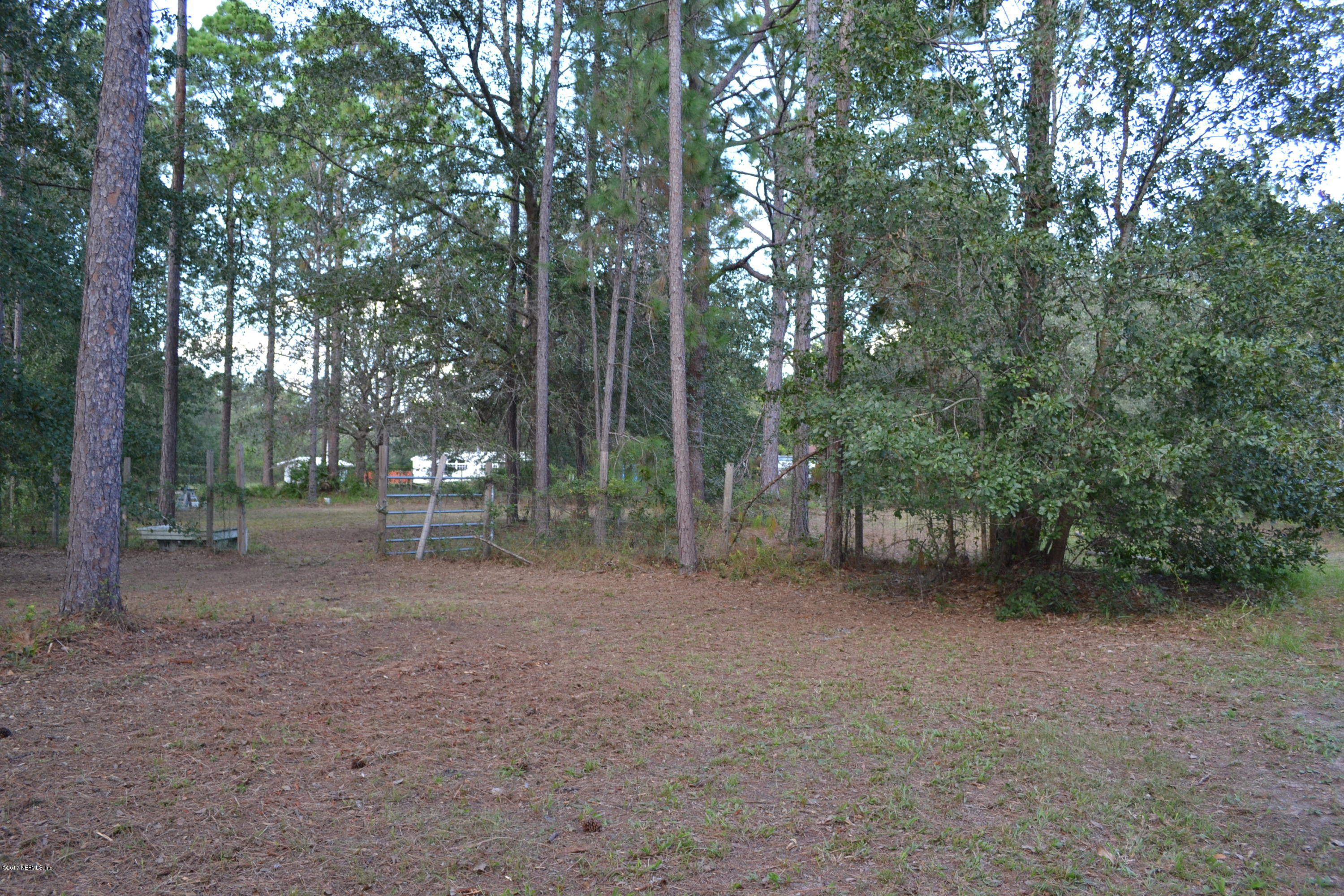 5660 Canvasback Road Middleburg, FL 32068 - Photo 8 of 13 Horse Paddock