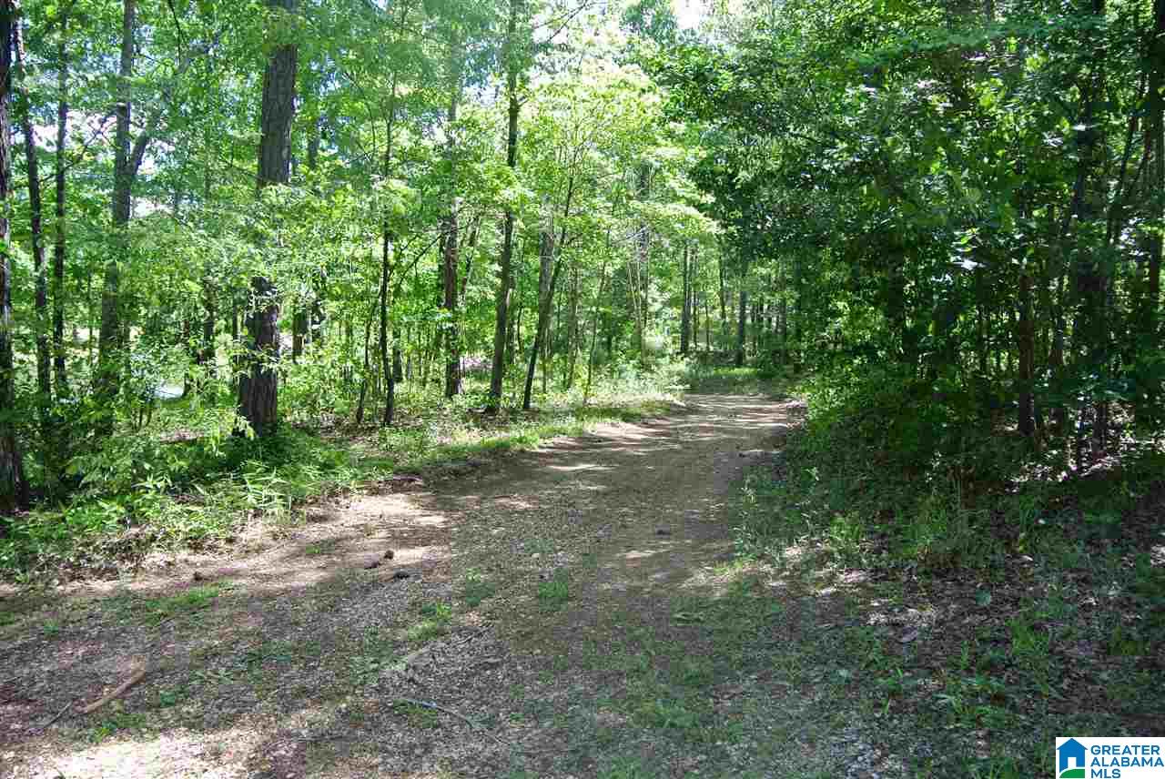 Lot 2 Brookview Lane, Unit 2 Helena, AL 35080 - Photo 13 of 13