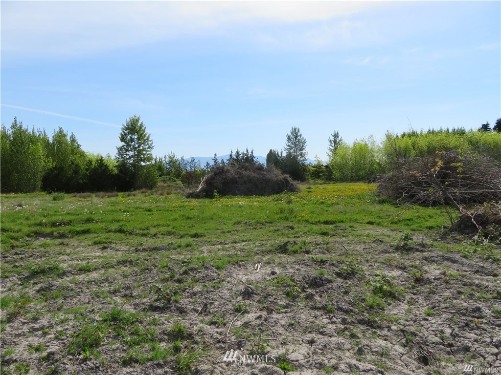 17171 McLean Road Mount Vernon, WA 98273 - Photo 11 of 20
