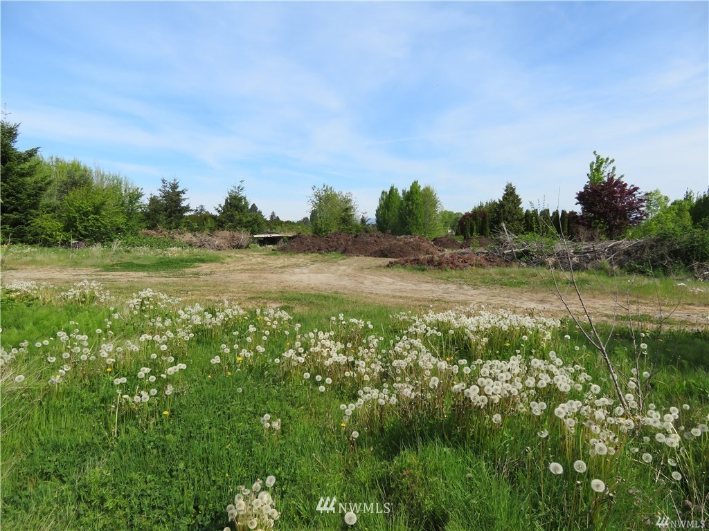 17171 McLean Road Mount Vernon, WA 98273 - Photo 16 of 20