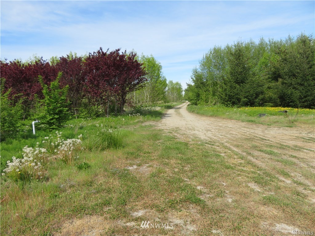 17171 McLean Road Mount Vernon, WA 98273 - Photo 17 of 20