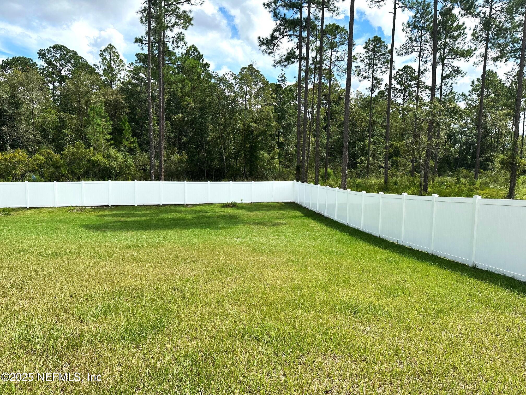 36079 Pitch Lane Hilliard, FL 32046 - Photo 29 of 35 a view of a large yard with a large tree