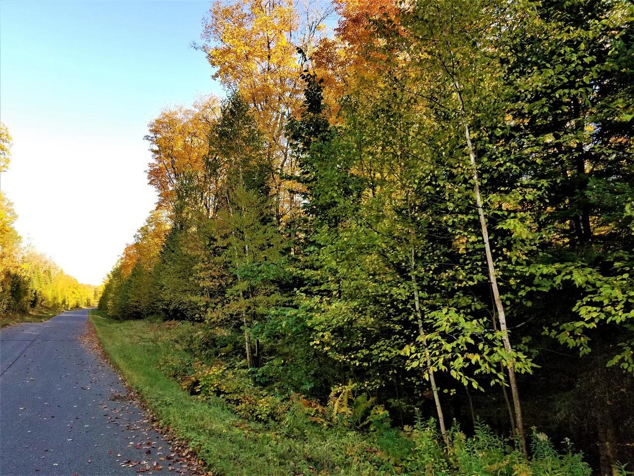 Lot 14 Timberline Road Mercer, WI 54547 - Photo 1 of 18 Gallery Image 1