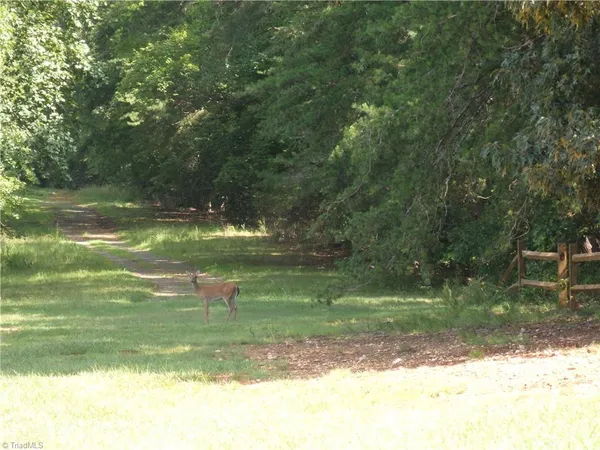 $9,000 | 0 Chapel Hill Drive, Troy, NC 27371
