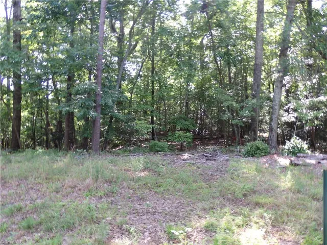 $15,900 | 0 Chapel Hill Drive, Troy, NC 27371