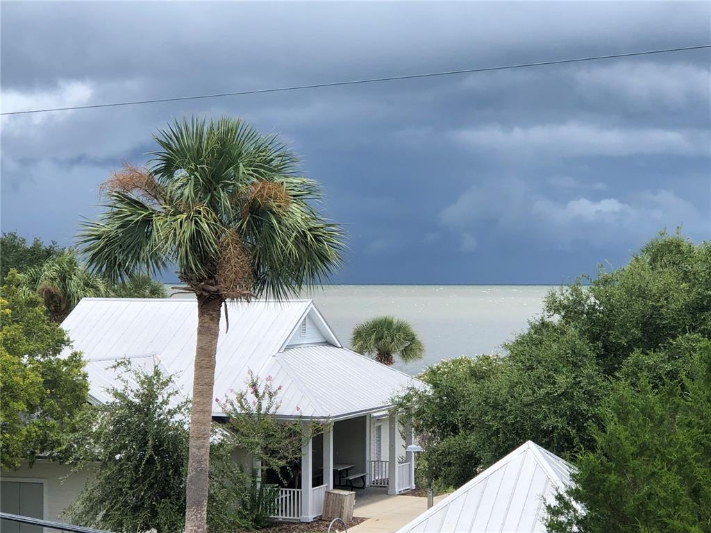 a view of a backyard