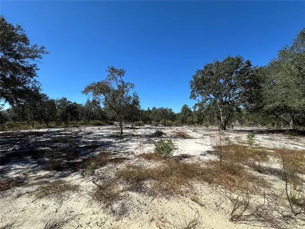 $18,700 | Tbd Northeast 100th Avenue, Bronson, FL 32621