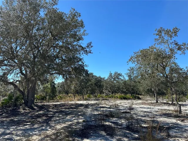 a view of a yard with a tree