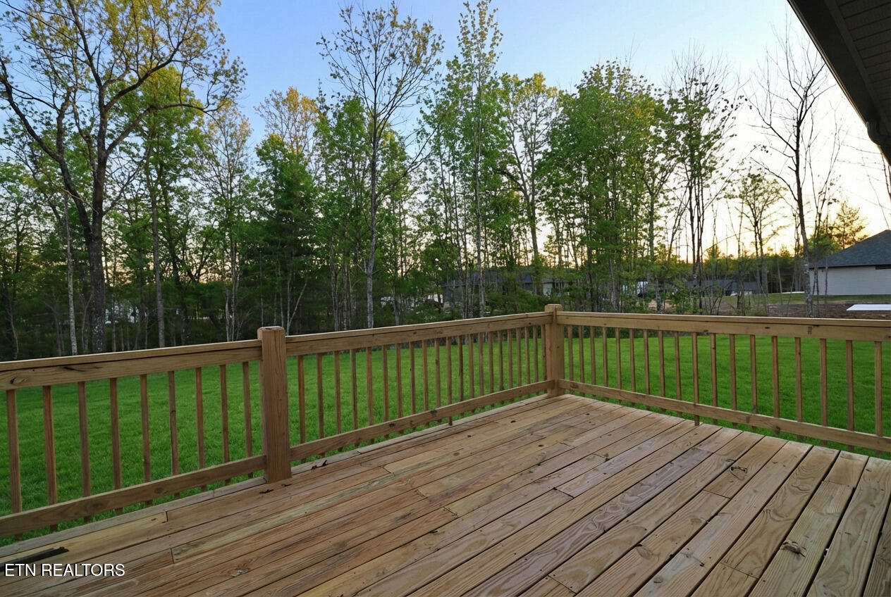595 Taylon Lane Oneida, TN 37841 - Photo 8 of 41 094A0166ai
