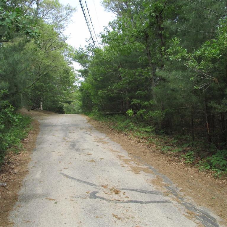 a view of a dirt road with trees in the background