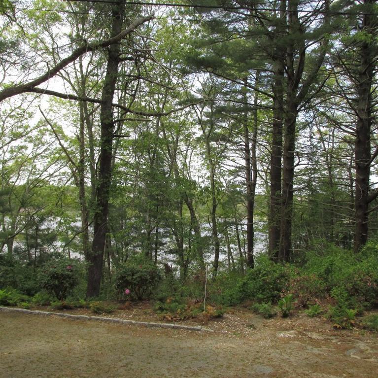 105 Bay Road Cotuit, MA 02635 - Photo 2 of 4 a view of a forest
