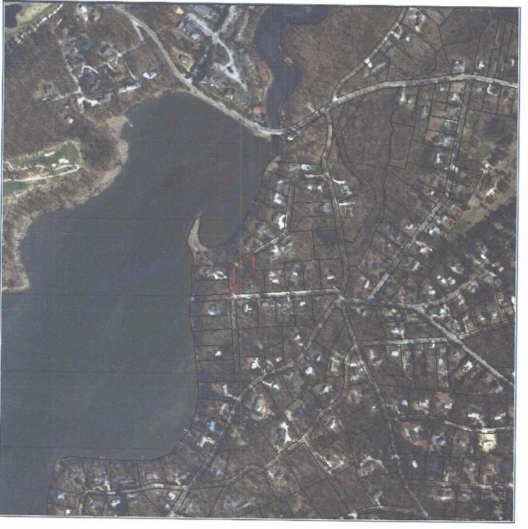 105 Bay Road Cotuit, MA 02635 - Photo 4 of 4 a picture of a tree in a house