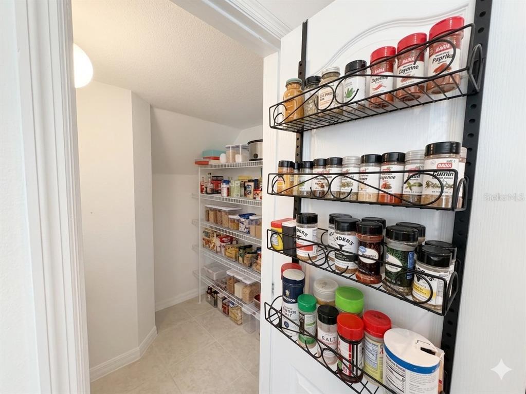 9120 Moonlit Meadows Loop Riverview, FL 33578 - Photo 8 of 22