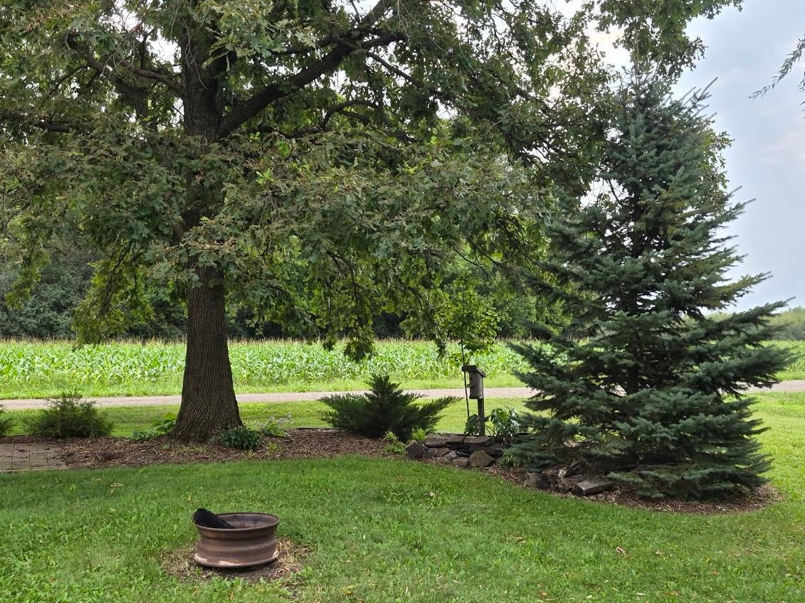 5271 West Center Road Withee, WI 54498 - Photo 20 of 23 Gallery Image 20
