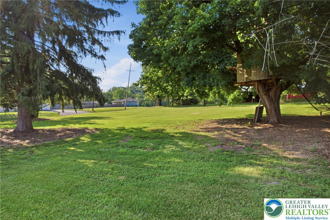 4682 Steuben Road Bethlehem, PA 18020 - Photo 59 of 79 A verdant, open lot with mature trees and a whimsical treehouse.