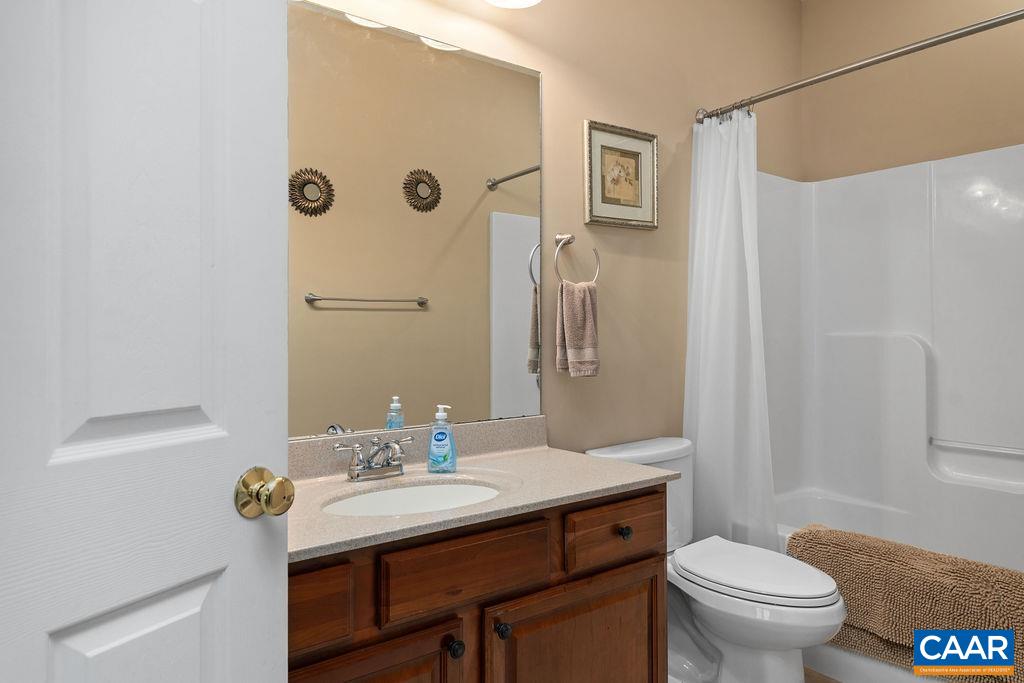 59 Timber Ridge Lane Roseland, VA 22967 - Photo 17 of 45 a bathroom with a sink a toilet and shower curtain