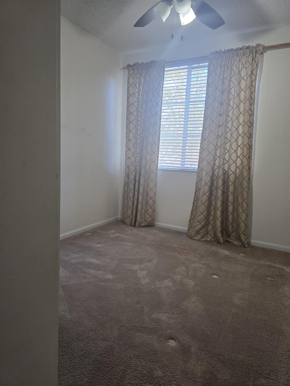 7970 North Nob Hill Road, Unit 205 Tamarac, FL 33321 - Photo 6 of 28 2nd Bedroom