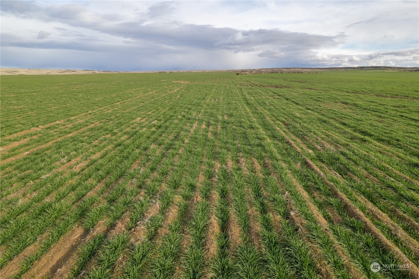 0 Rd 15.6 & Road Northeast Marlin, WA 98832 - Photo 13 of 18 Gallery Image 13