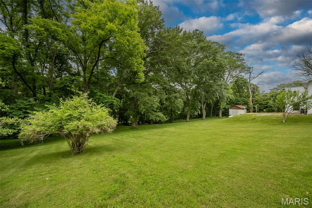 3037 Upper Moss Hollow Road Barnhart, MO 63012 - Photo 62 of 73