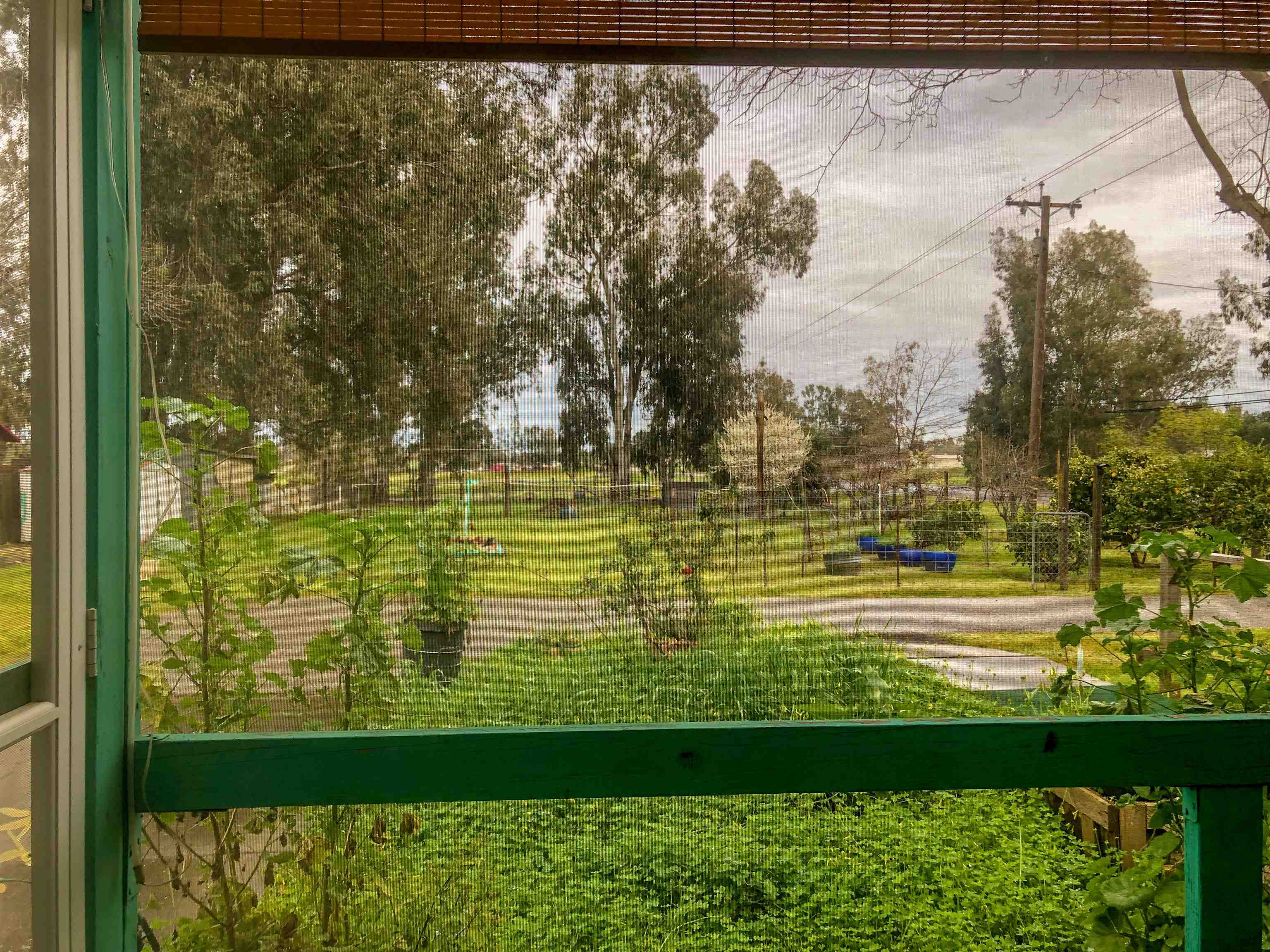 23848 Hoag Road Corning, CA 96021 - Photo 45 of 73