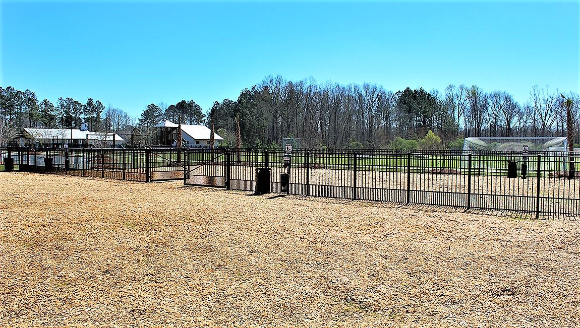 216 Goshen Road Moncks Corner, SC 29461 - Photo 33 of 38 Spring Grove Plantation Dog Park