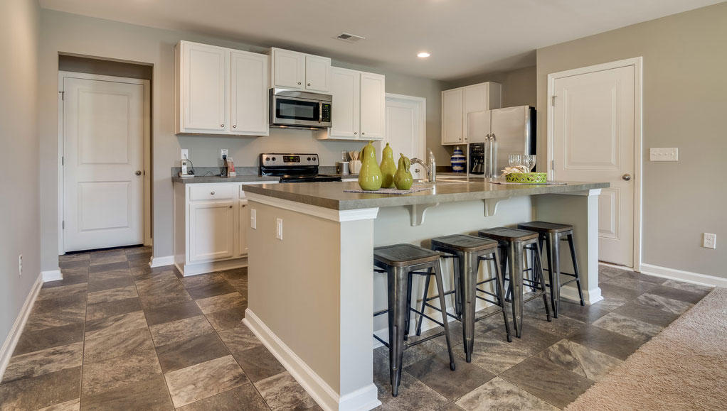 216 Goshen Road Moncks Corner, SC 29461 - Photo 10 of 38 Robie-A_2362_CR-Hamlets-Lot-1-NEW_Kitche