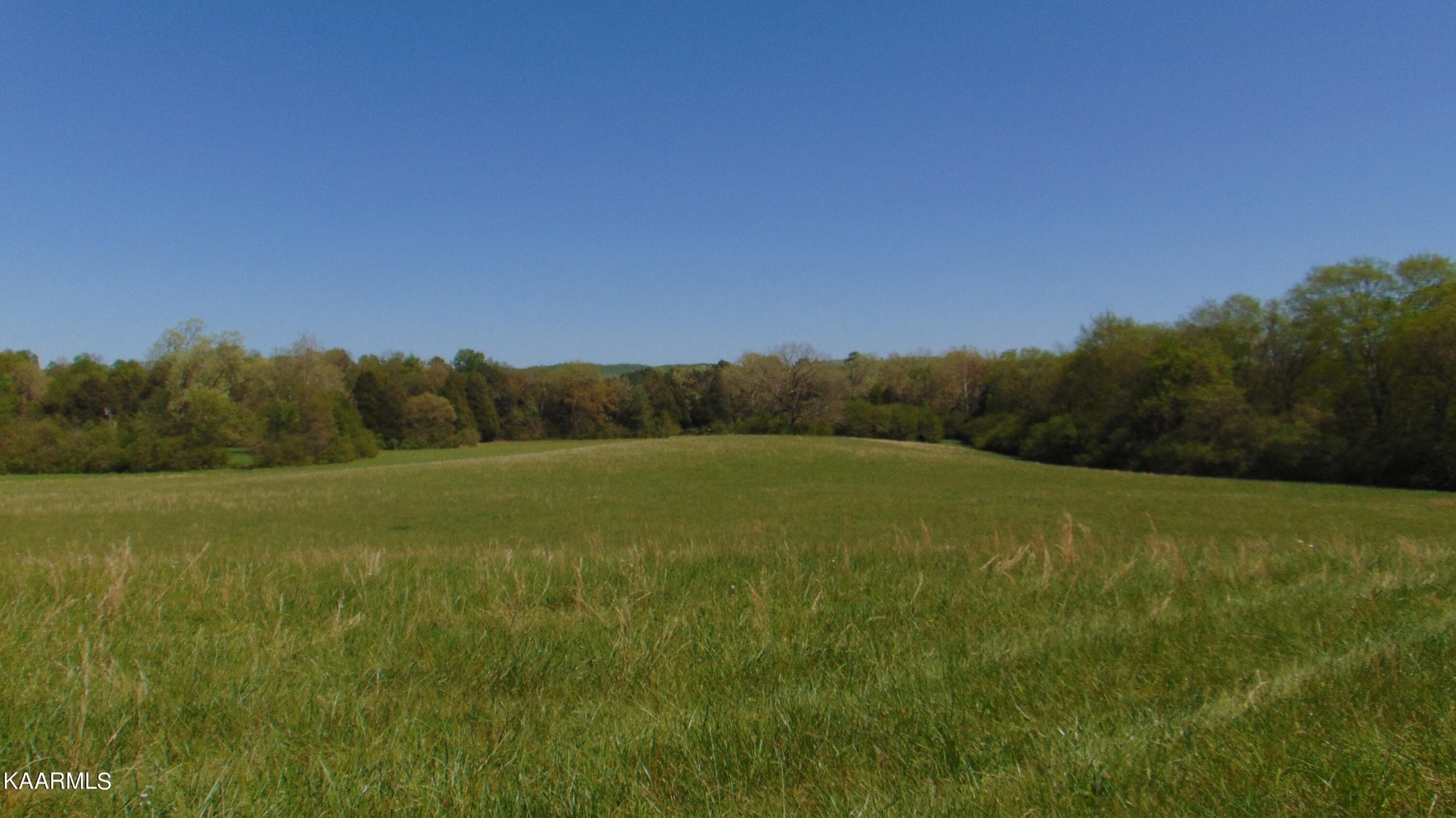 2 Euchee Road Ten Mile, TN 37880 - Photo 8 of 26