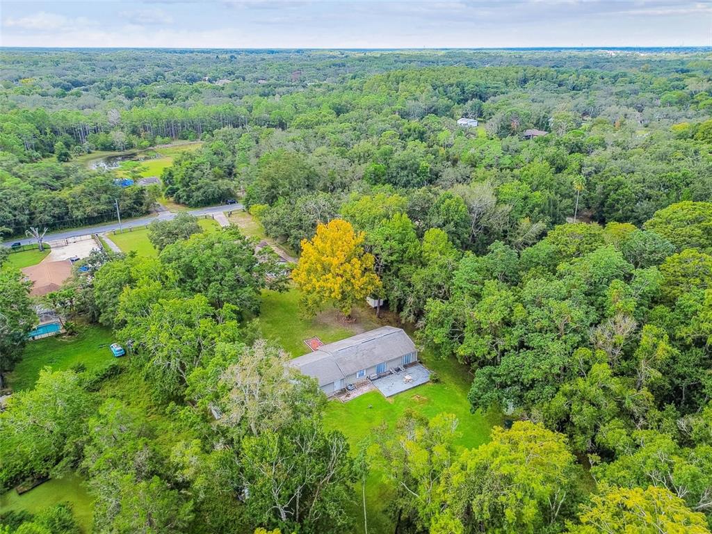 9741 Star Trail New Port Richey, FL 34654 - Photo 37 of 38 a view of a lush green forest with trees and some houses
