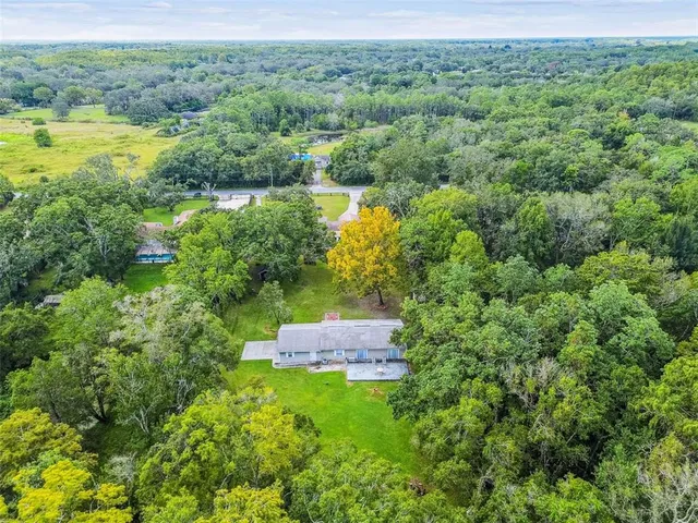 a view of a lush green forest with trees and some houses