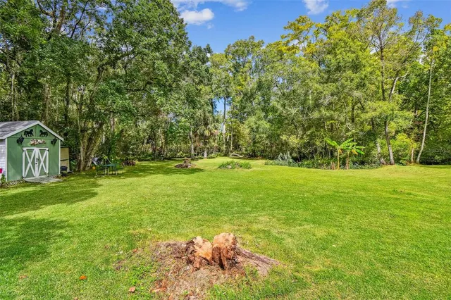 a backyard of a house with lots of green space