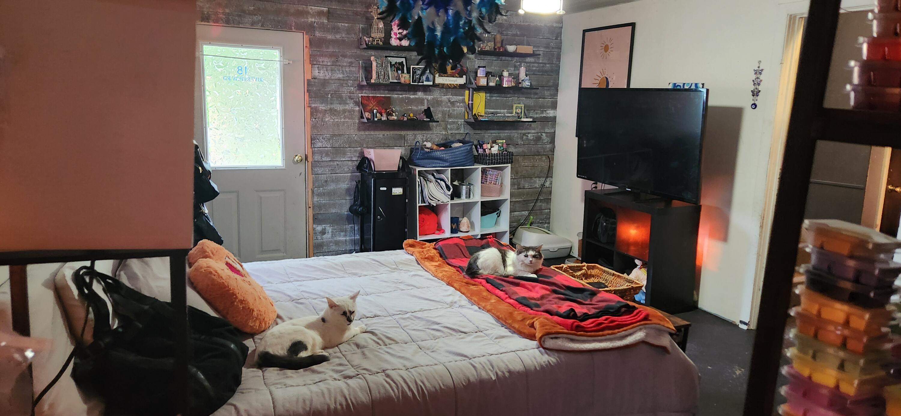 18 Riverview Road Jay, ME 04239 - Photo 19 of 37 20240527_155047