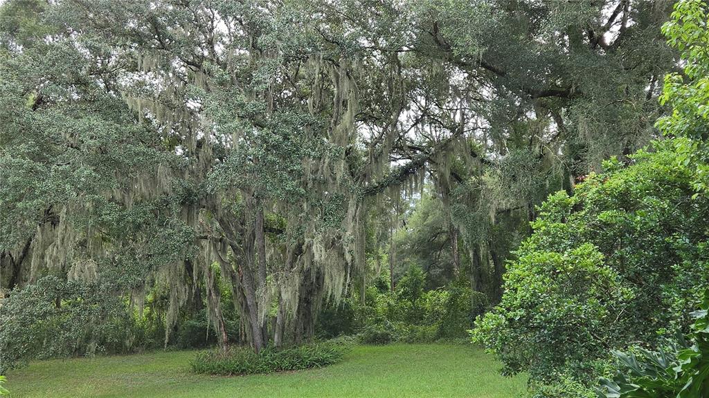 1880 Whippoorwill Lane DeLand, FL 32720 - Photo 17 of 31 Gallery Image 17
