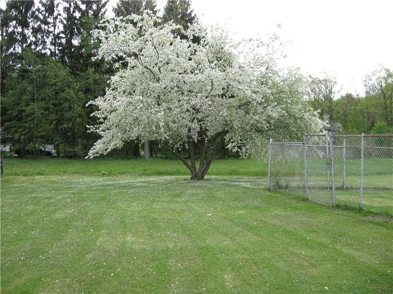 2616 Mercer West Middlesex Road West Middlesex, PA 16159 - Photo 3 of 9 Land/Lot.