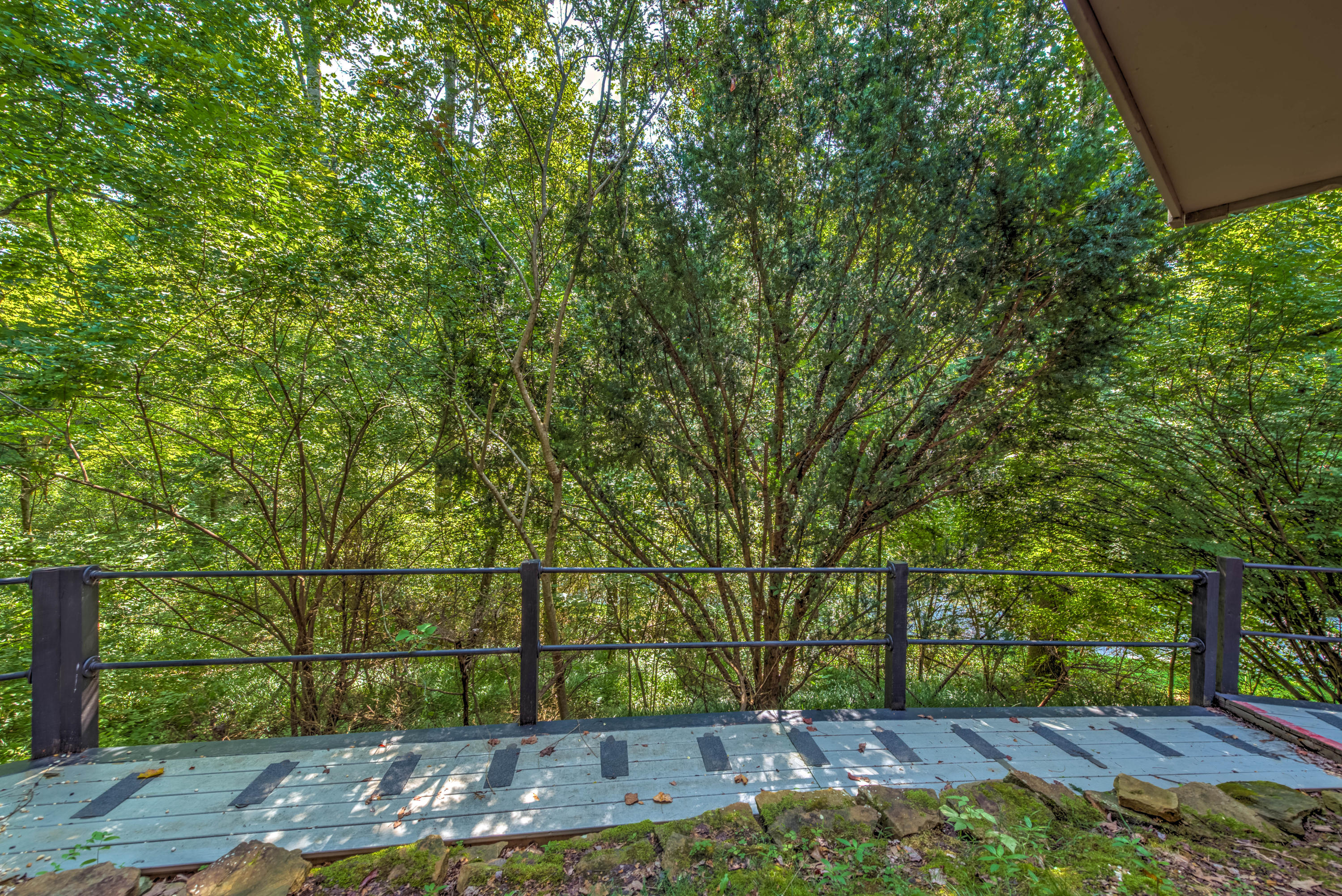 106 Blue Ridge Court Oak Ridge, TN 37830 - Photo 3 of 23 3