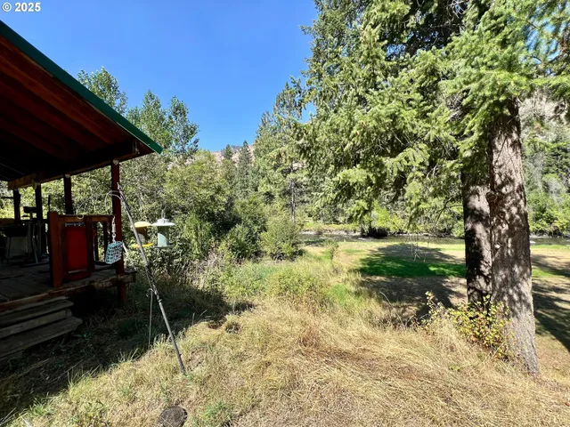 a view of outdoor space and yard