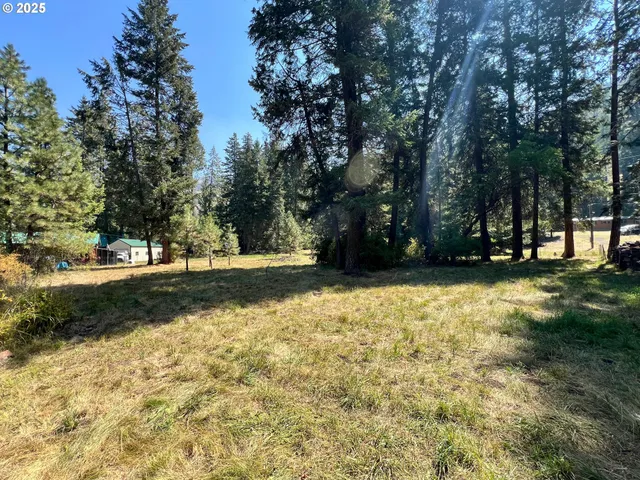 a view of outdoor space with trees