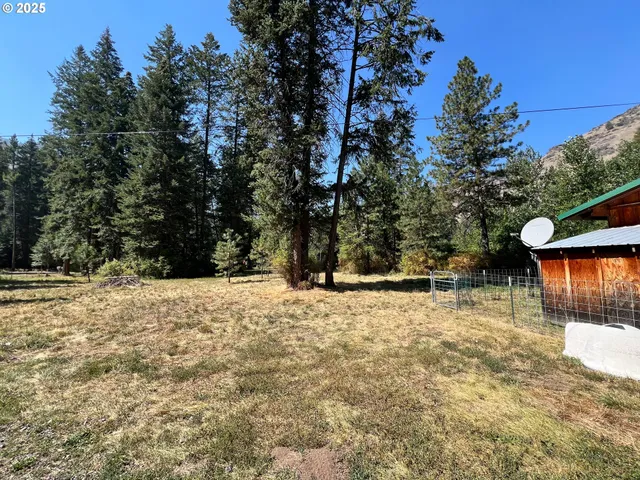 a view of a yard with a tree